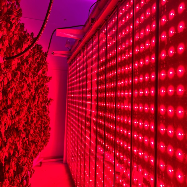 Deep Red Tunable LED Grow Lights