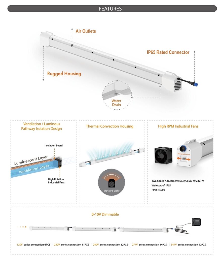 Bundled Canopy Lights