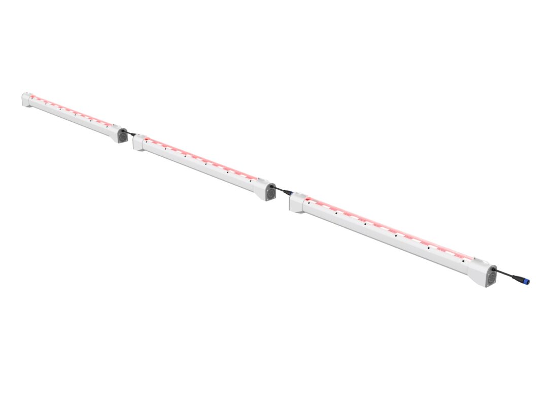Canopy Lights - Image 2
