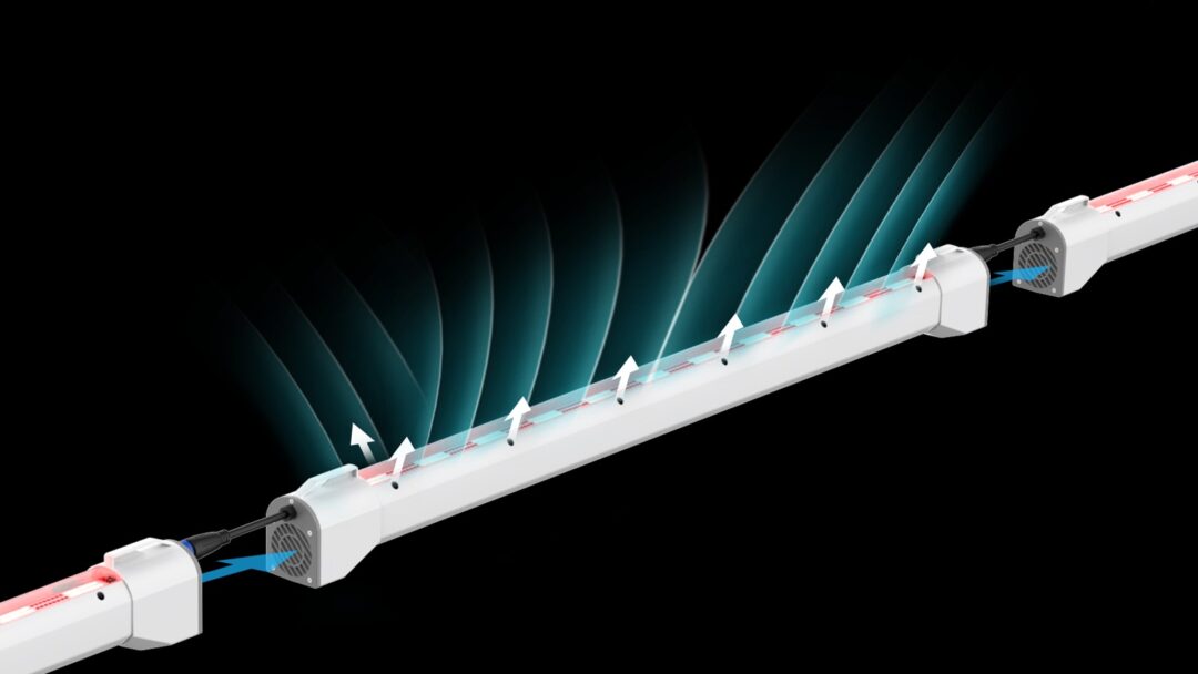 Canopy Lights - Image 3
